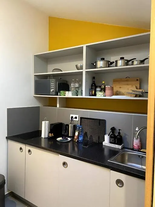 Modern Parisian Flat In Montparnasse Area *